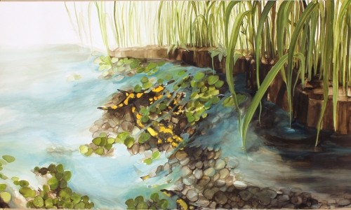 SALAMANDERS, 2015, watercolor, 55x100cm